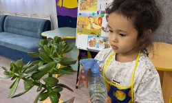 Труд как основа экологического воспитания детей